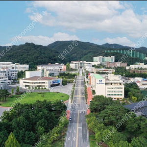 안동대학교 95년 졸업앨범 구합니다