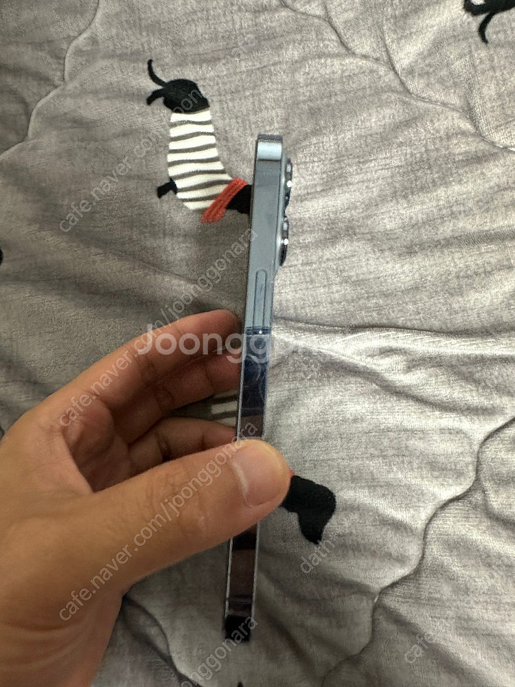 아이폰13프로 시에라블루 256기가--1