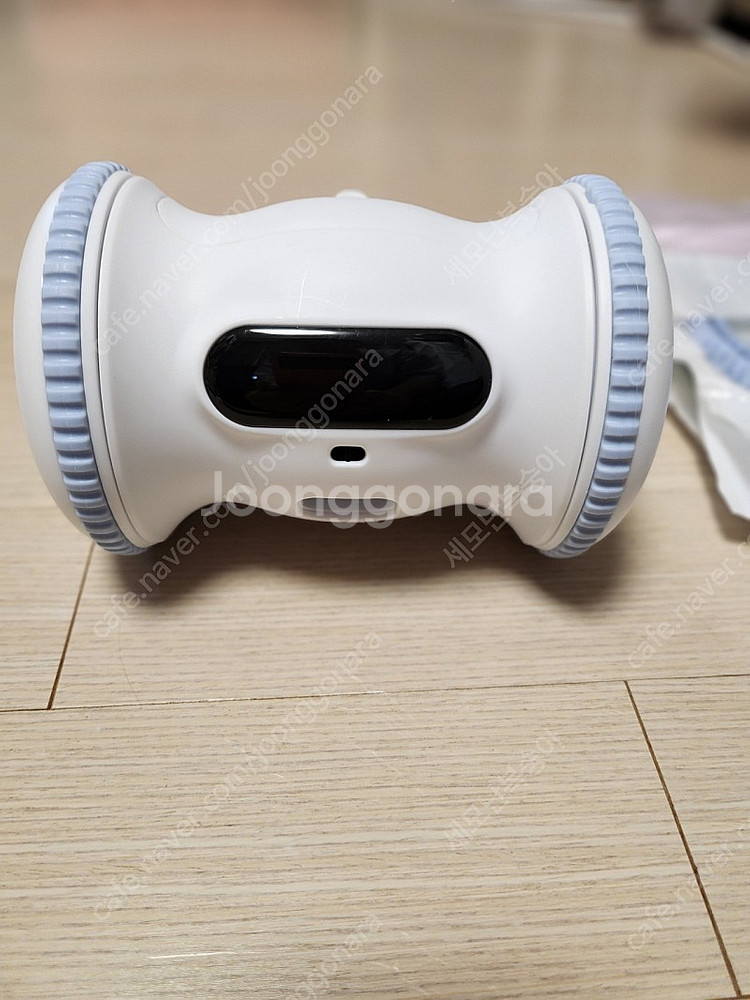 바람펫 피트니스 + 케어펫 사랑빗--0