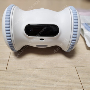 바람펫 피트니스 + 케어펫 사랑빗