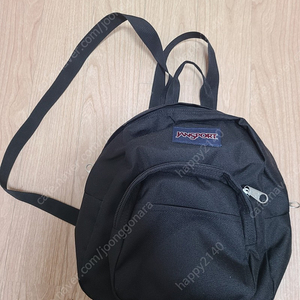 JanSport 하프 파인트 미니 백팩 블랙