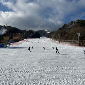 곤지암리조트 주중권 양도합니다