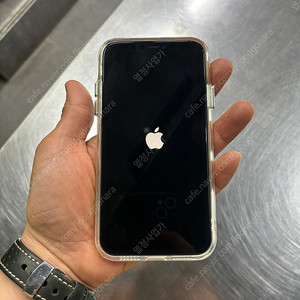 iPhone 11 256GB M_24만원