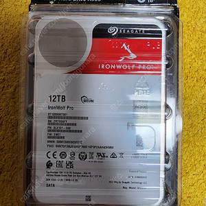 시게이트 아이언울프 프로 12GB (Seagate IronWolf Pro 7200/256M, ST12000NT001, 12TB)