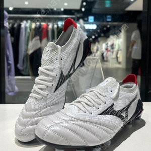 모렐리아 네오4 베타 JPN 280 구합니다