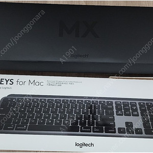 MX Keyboard(Logitech)_MAC or iPAD용