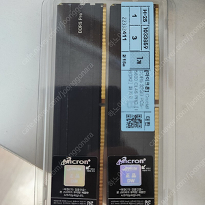 ddr5 마이크론 pro 44600 16gb x 2 = 32gb