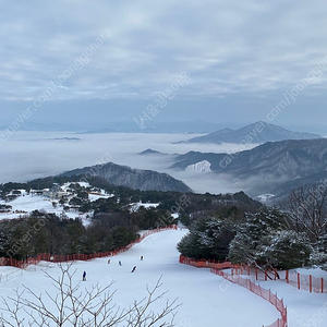 헤머데크 (데크만 구합니다)연락주세요