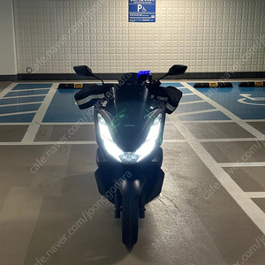 부산 pcx 2021