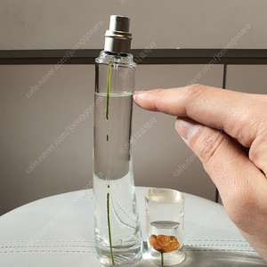 겐조 플라워 바이 겐조 EDT 50ml 향수 (23)