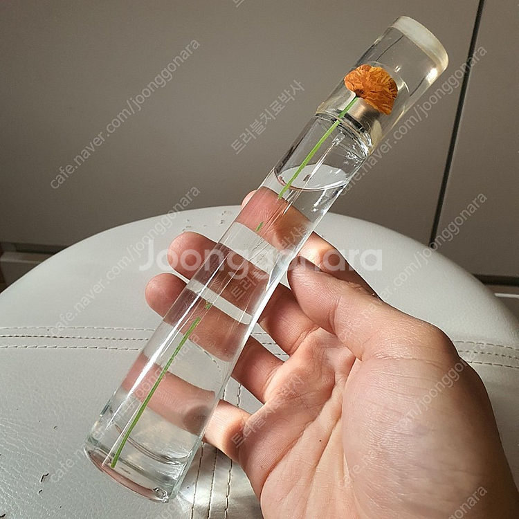 겐조 플라워 바이 겐조 EDT 50ml 향수 (23)--3