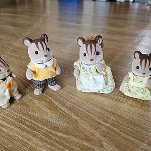 실바니안 다람쥐,양,토끼 가족
