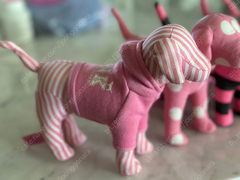 빅토리아시크릿 한정판 강아지 초기모델 이미지