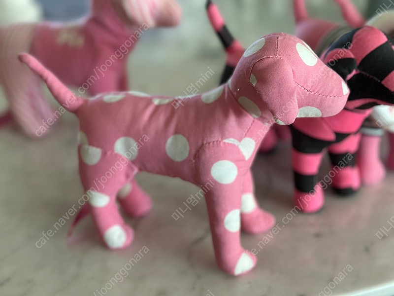 빅토리아시크릿 한정판 강아지 초기모델 이미지