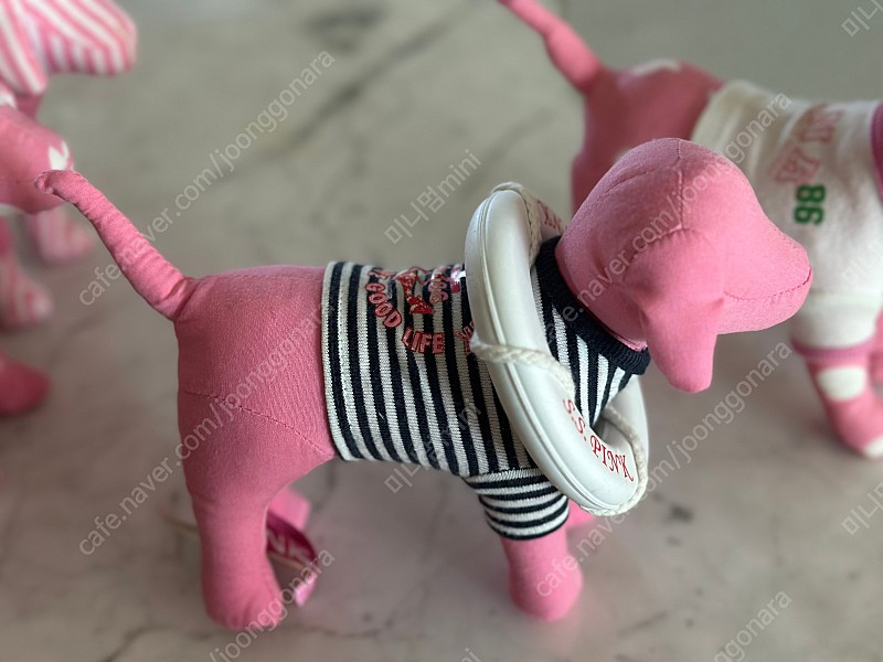 빅토리아시크릿 한정판 강아지 초기모델 이미지