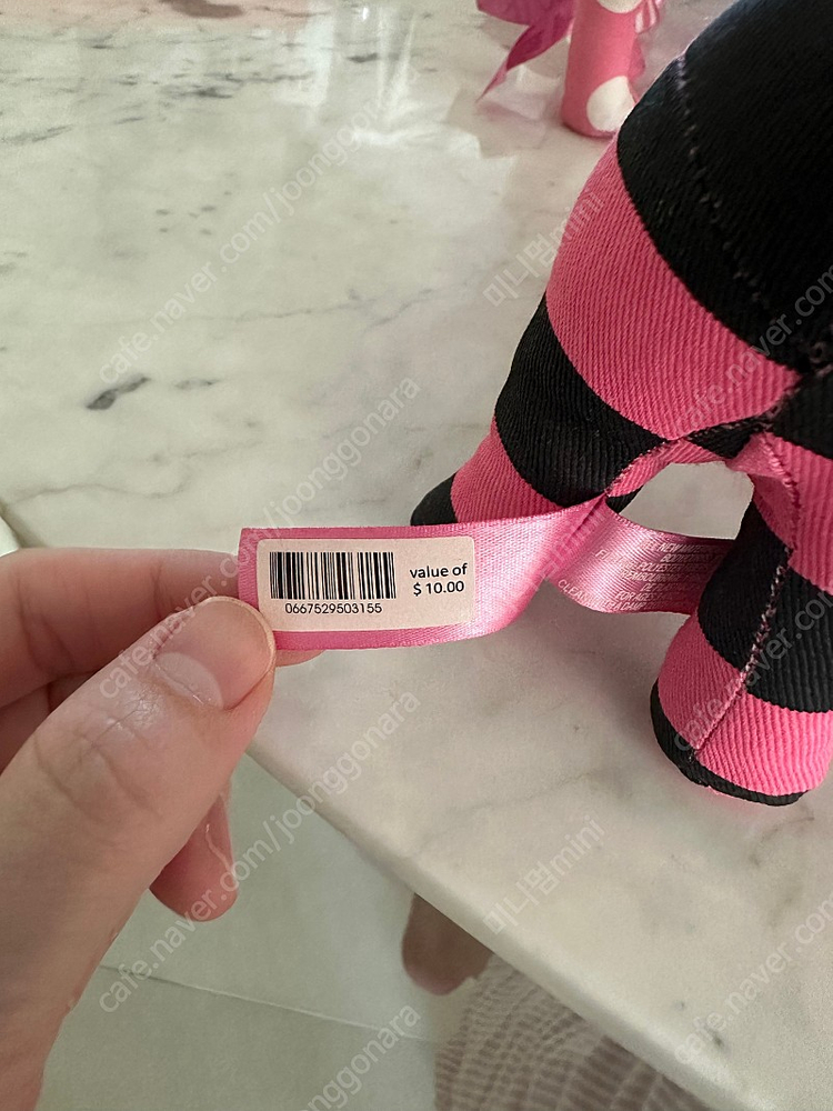 빅토리아시크릿 한정판 강아지 초기모델 이미지