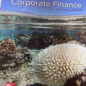 fundamentals of Corporate Finance
