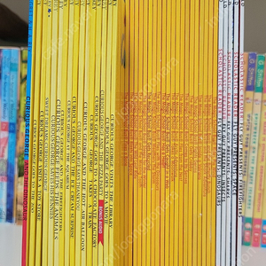 영어원서>큐리어스 조지, 플라이가이,매직스쿨버스(curious george, magic school bus, fly guy)