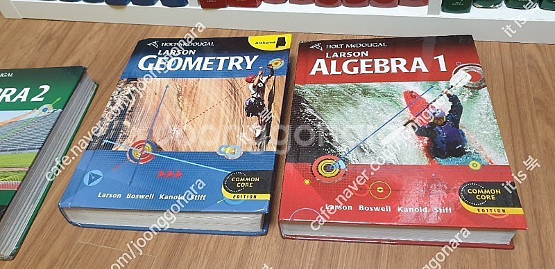 holt larson algebra1 common co...--0