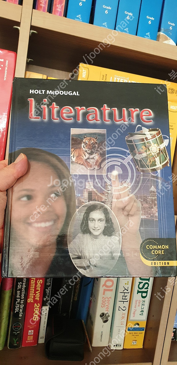 holt literature 6 7 8--2