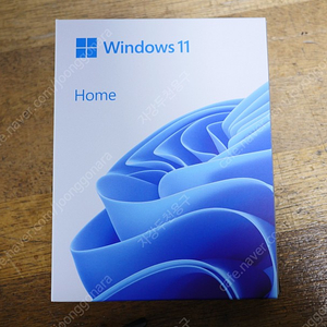 WINDOWS11 HOME 윈도우11 홈 처음사용자용 패키지 FPP 정품