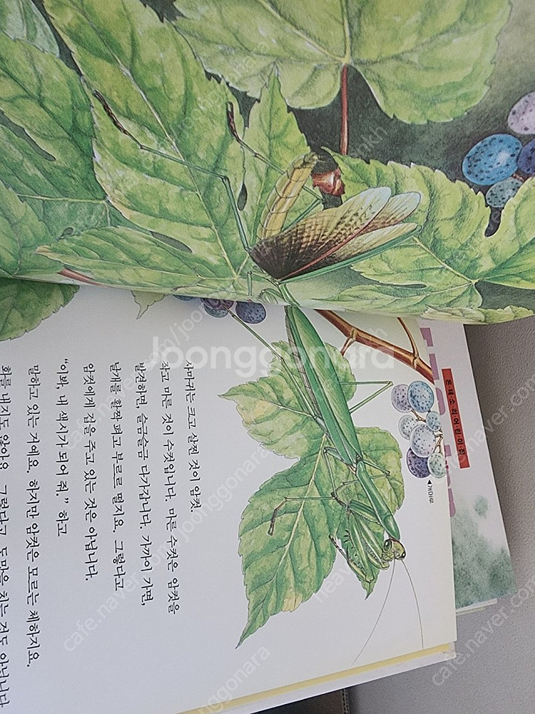 루크 어린이 첫 지식백과 등등--7