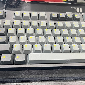 레오폴드 FC900RBT 갈축