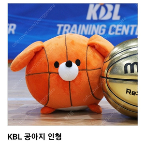 kbl 공아지 인형 판매합니다