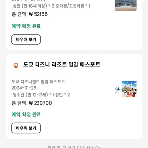 도쿄 디즈니랜드 입장권 1.28. (일)