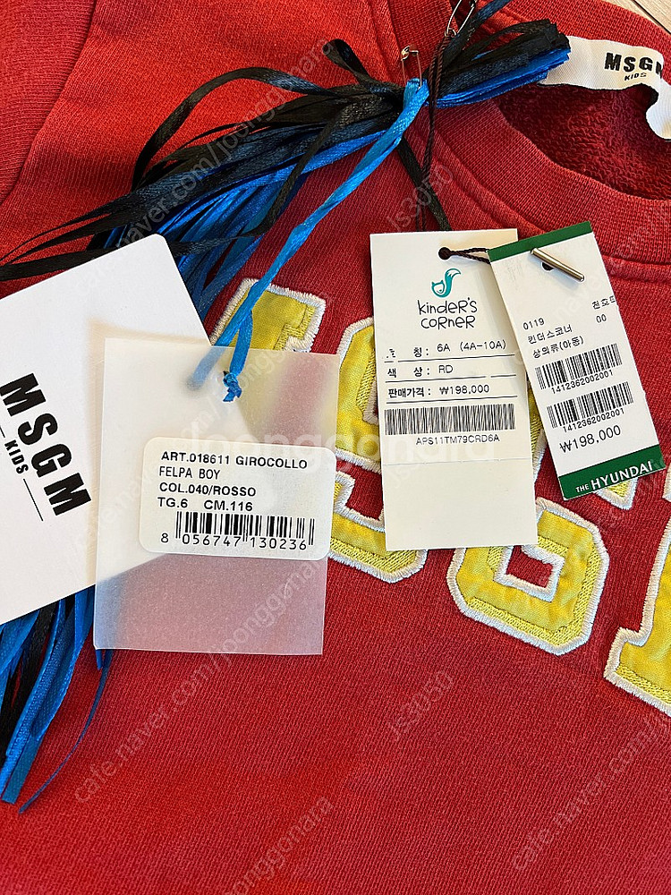 msgm 6y--1
