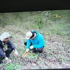 와사비 망고 4K 55인치 모니터 팝니다. 직거래만 환영합니다. 25만 네고X