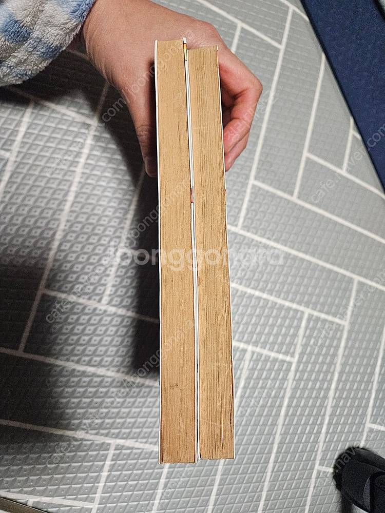 [희귀본]섹시걸-김진태작가--3