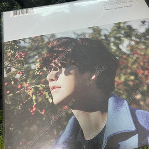 규현 lp