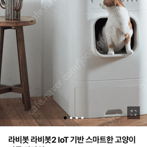 라비봇2 고양이 자동화장실 (광주광역시 직거래)