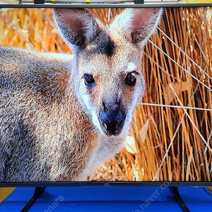 55인치 4k-UHD TV 18년산