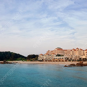 [오늘숙박특가] 홍천/쏠비치/경주/변산/청송/거제/단양