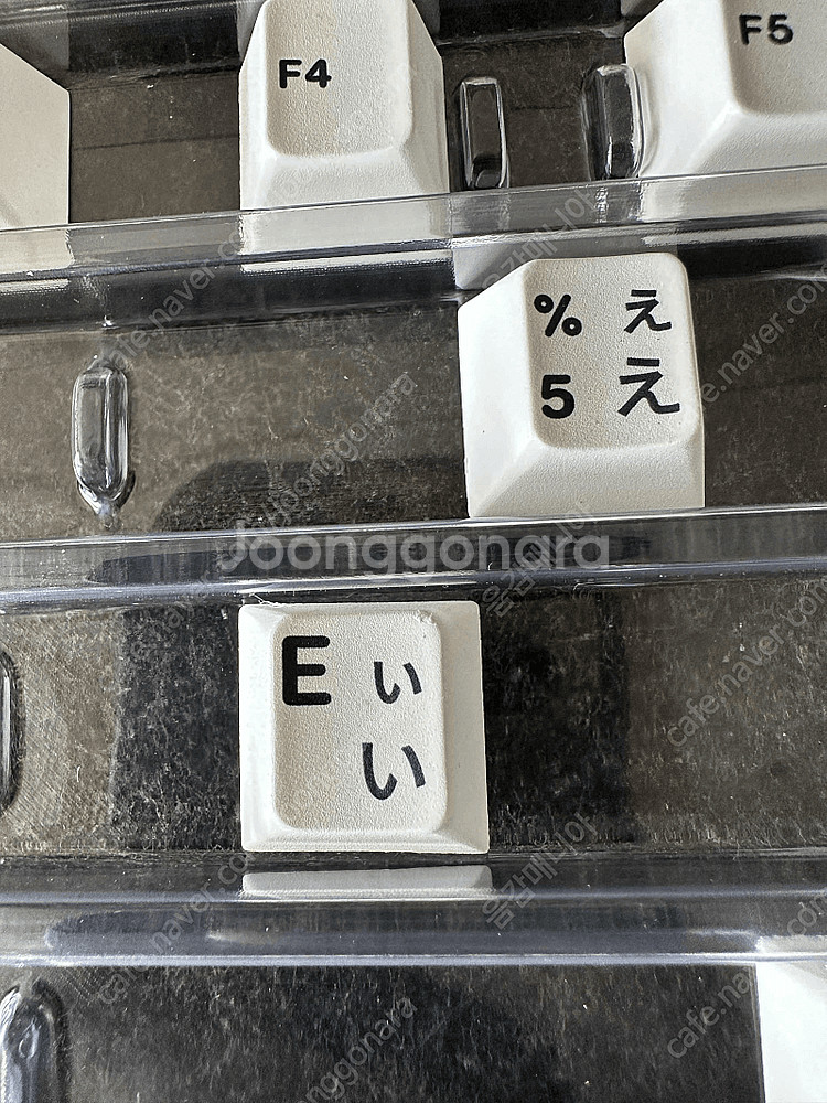 enjoypbt(epbt) kuroshiro(쿠로시로)...--3