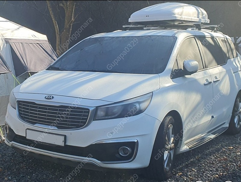 하프로 루프박스 / 루프박스--1