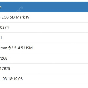 캐논 카메라 Dslr 오막포 5d mark4 5dmark4 _장비도 걍 드려요 [덤]