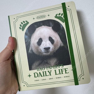 알라딘 푸바오 양장 노트