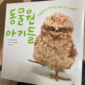 동물원 아기들 사진북 팝니다.