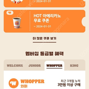 버거킹 핫 아메리카노 1장 + 2천원 할인 쿠폰 2장 일괄 800원 판매