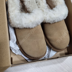 미국어그 ugg 니타 6사이즈