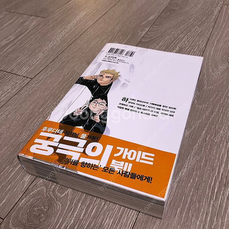 하이큐 파이널 가이드북 (+하이큐 일본판 22권 드림)--1