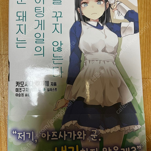 청춘돼지는 나이팅게일의 꿈을 꾸지 않는다 11권 개봉 초판