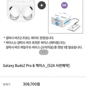 버즈2 프로 + 케이스 135000원