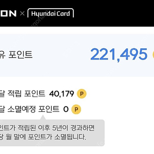 넥슨캐시 22만->196000