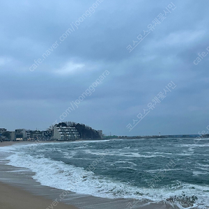 삼척쏠비치 2월3일입실 30만원 판매 합니다 패밀리 토요일 삼척 쏠비치