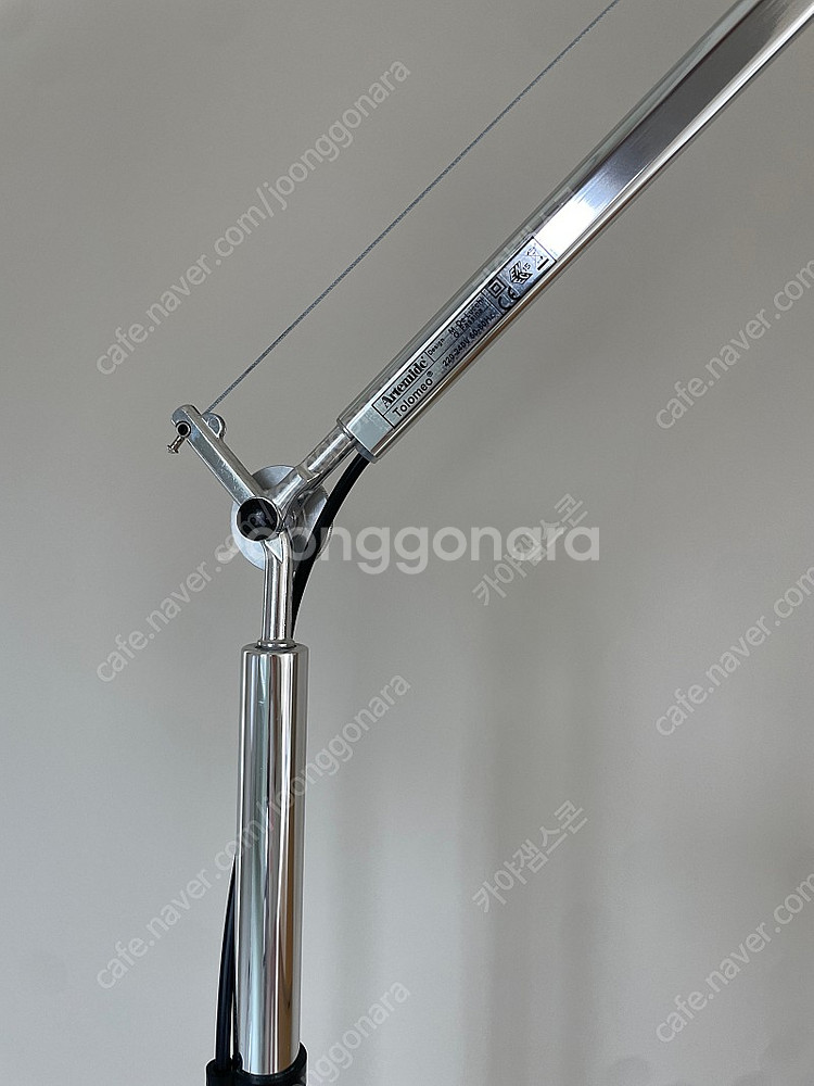 대구) 아르떼미데 톨로메오 메가--8