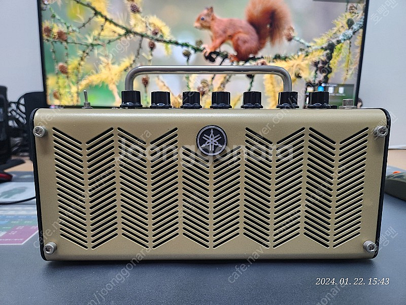 야마하 기타 앰프 Yamaha THR5A--0